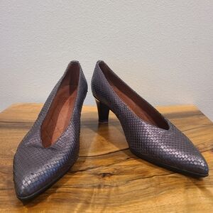 Hispanitas Cerys Pewter Snake Print Pumps